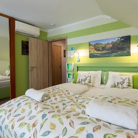 Balaton Fantasy Pensiune