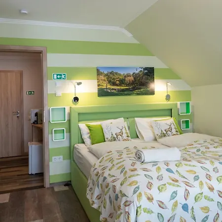 Balaton Fantasy Guest house 4*